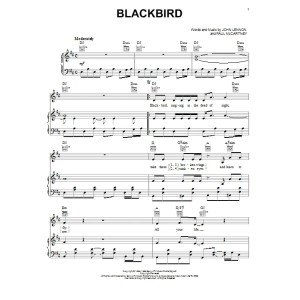 Blackbird