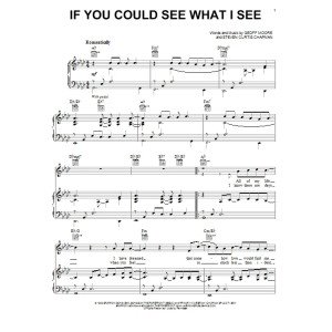 If You Could See What I See