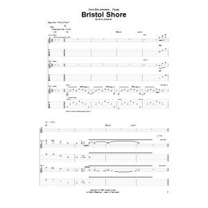 Bristol Shore