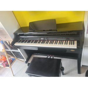 The Classic Cantabile DP-A410
