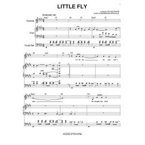 Little Fly