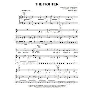 The Fighter