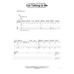 Cat Talking To Me