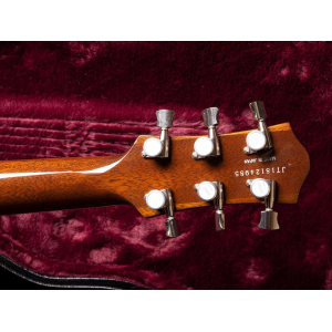 Gretsch G-6228 Pro Players es una guitarra hecha a mano que ha sido diseñada específicamente para músicos profesionales. Con 