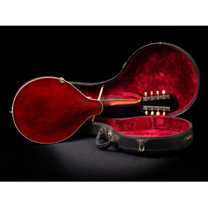 Gibson Mandolina A3 1919 - Marfil