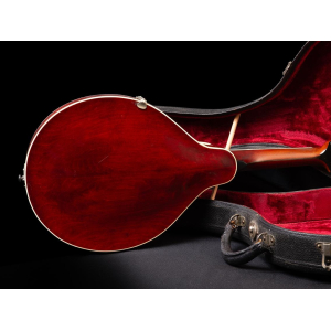 Gibson Mandolin A3 1919 - Ivory