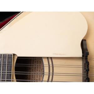 Gibson Mandolin A3 1919 - Ivory