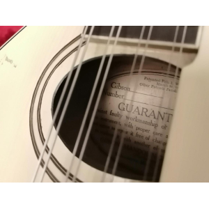 Gibson Mandoline A3 1919 - Ivory