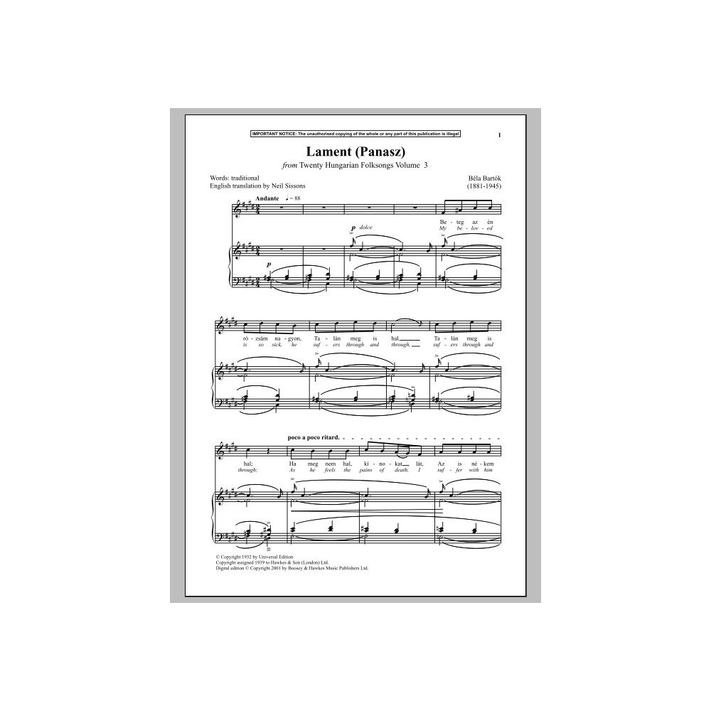 Lament (Panasz) (aus Twenty Hungarian Folksongs Vol. 3)