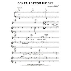 Boy Falls From The Sky