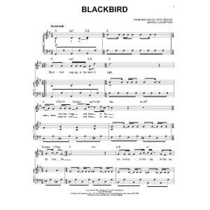 Blackbird