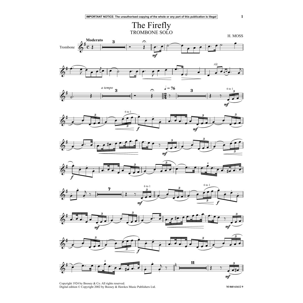 The Firefly