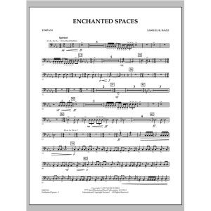 Enchanted Spaces - Timpani