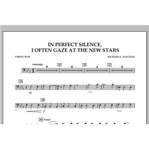 In Perfect Silence, I Often Gaze at the New Stars - String Bass