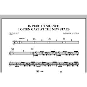 In Perfect Silence, I Often Gaze at the New Stars - Percussion 7