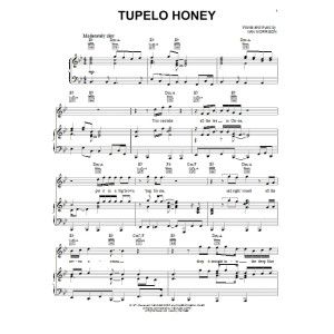 Tupelo Honey
