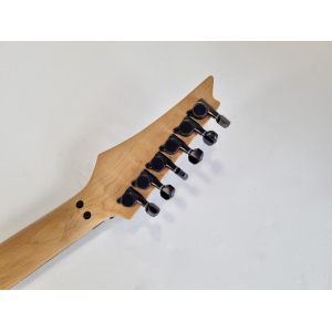 Ibanez JEM777V-BK Steve Vai Signature Vine