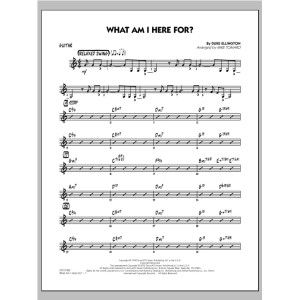 What Am I Here For? - Guitar