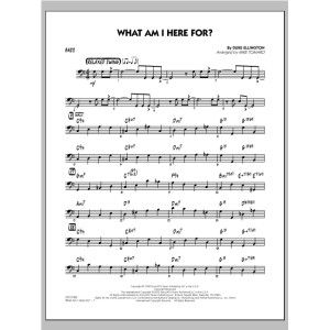 What Am I Here For? - Bass