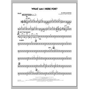 What Am I Here For? - Drums
