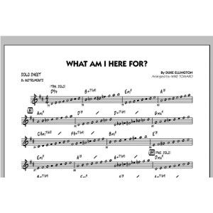 What Am I Here For? - Bb Solo Sheet