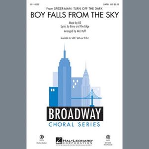 Boy Falls From The Sky