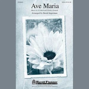 Ave Maria (arr. David Angerman)