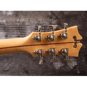 D'angelico Deluxe Brighton