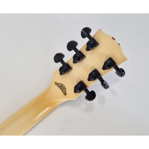 Gibson ES-335 Showcase