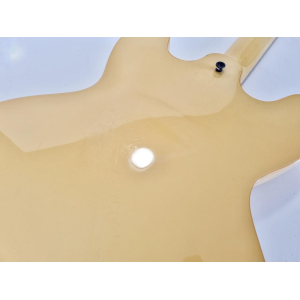 Gibson ES-335 Showcase