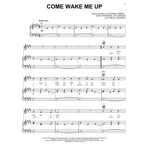 Come Wake Me Up