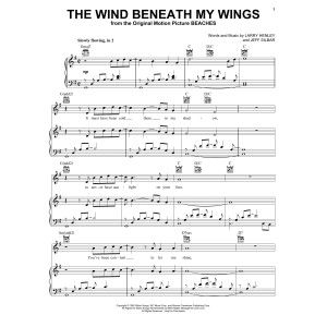 The Wind Beneath My Wings