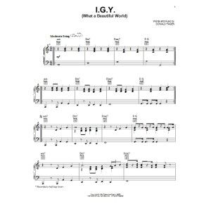 I.G.Y. (Eine wunderschöne Welt)