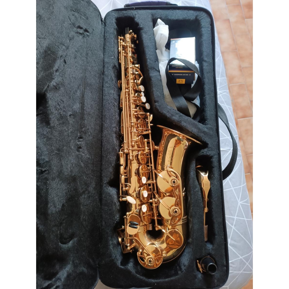 Alto Saxophone SML