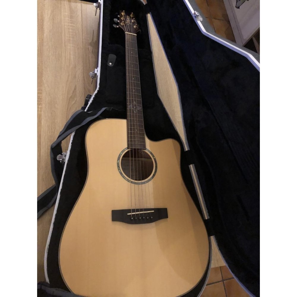 Takamine Electro-Acoustic Guitar