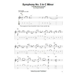 Symphony No. 5 In C Minor, First Movement Excerpt