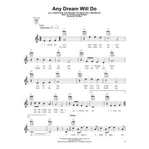 Any Dream Will Do