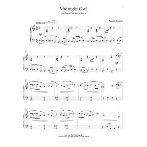 Midnight Owl