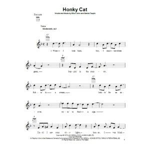 Honky Cat