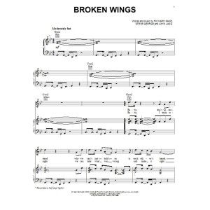 Broken Wings