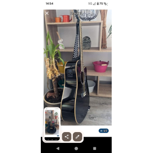 Washburn Electro-Acoustic Guitar