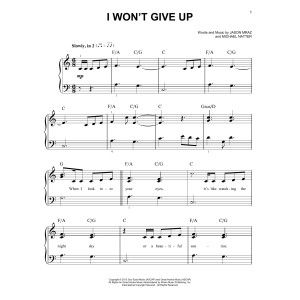 I Won't Give Up