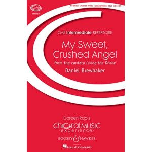 My Sweet, Crushed Angel