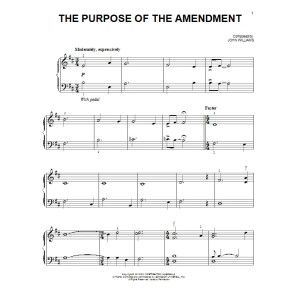 The Purpose Of The Amendment
