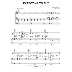 Expecting To Fly