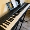 Yamaha P-45 is a versatile and compact digital piano that offers an authentic piano playing experience. With its 88 weighted key