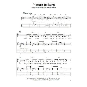 Picture To Burn