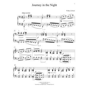 Journey In The Night