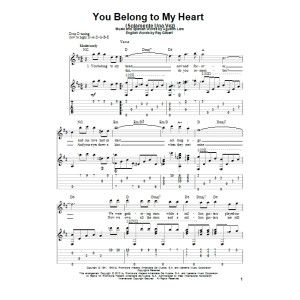 You Belong To My Heart (Solamente Una Vez)