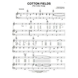 Cotton Fields (The Cotton Song)